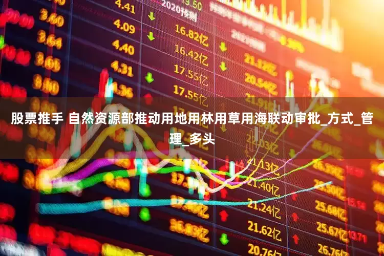 股票推手 自然资源部推动用地用林用草用海联动审批_方式_管理_多头