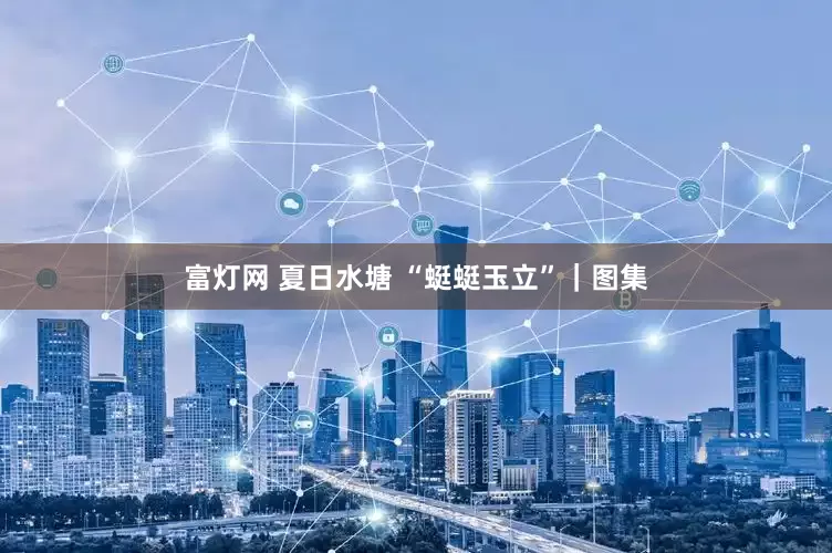 富灯网 夏日水塘 “蜓蜓玉立”｜图集
