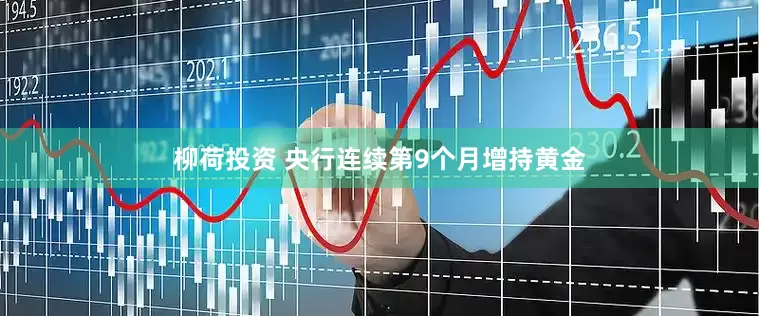 柳荷投资 央行连续第9个月增持黄金
