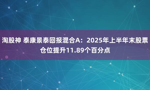 淘股神 泰康景泰回报混合A：2025年上半年末股票仓位提升11.89个百分点