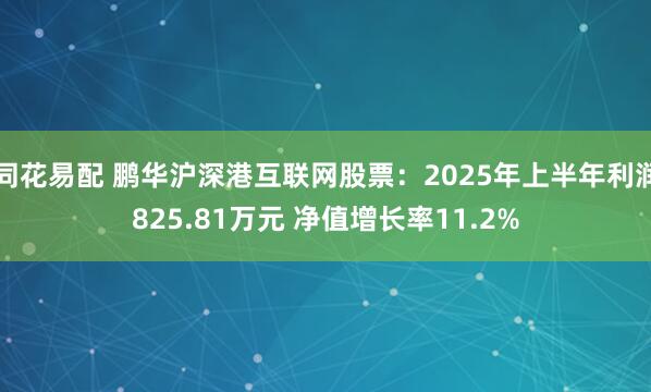同花易配 鹏华沪深港互联网股票：2025年上半年利润825.81万元 净值增长率11.2%