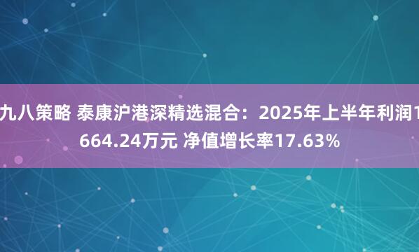 九八策略 泰康沪港深精选混合：2025年上半年利润1664.24万元 净值增长率17.63%