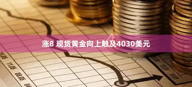 涨8 现货黄金向上触及4030美元