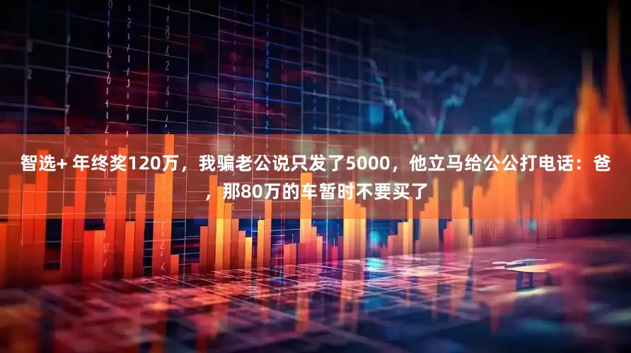 智选+ 年终奖120万，我骗老公说只发了5000，他立马给公公打电话：爸，那80万的车暂时不要买了